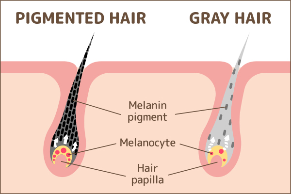 role of melanin in hair health
